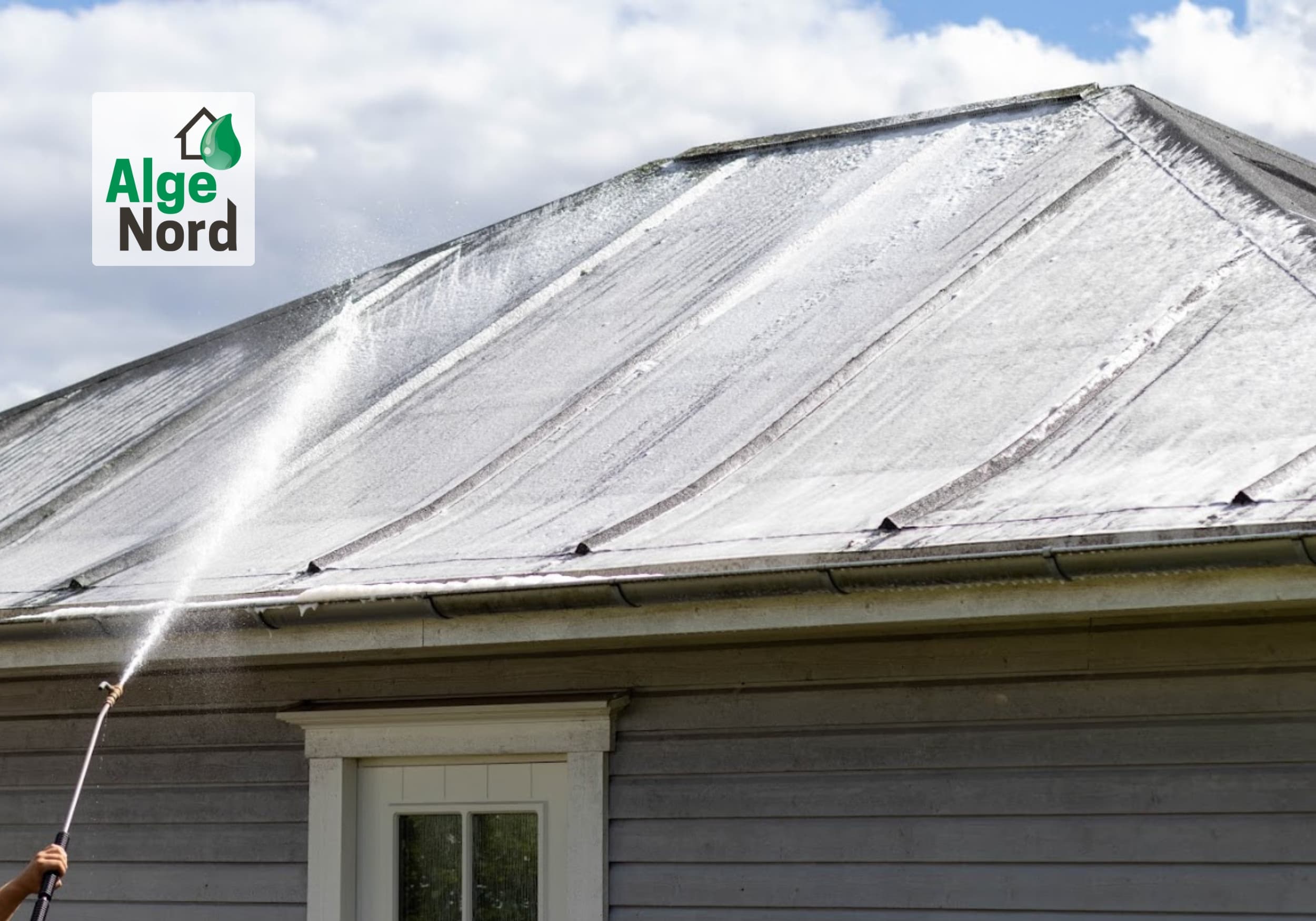 Algebehandling af tag