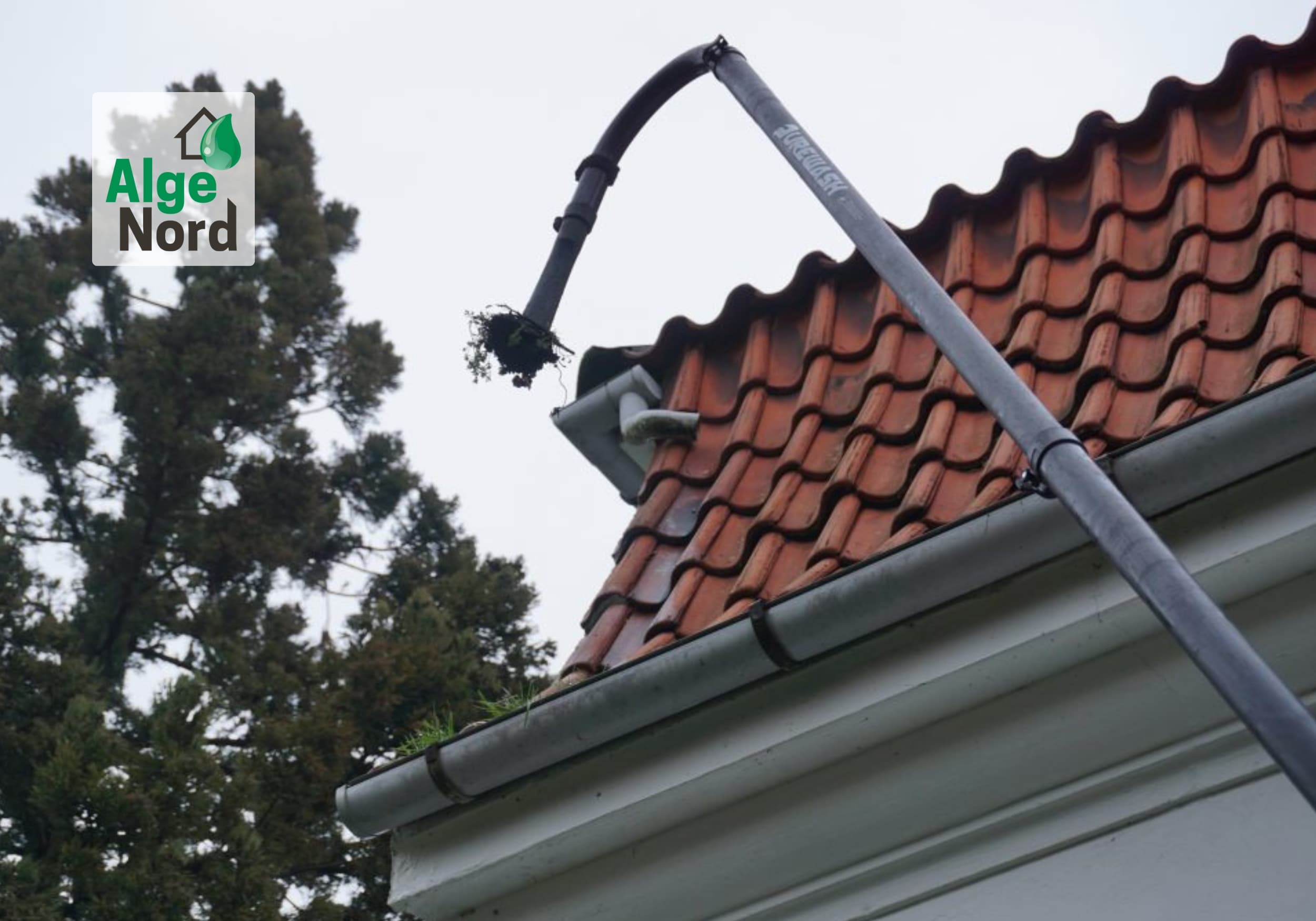 Rensning af tagrender